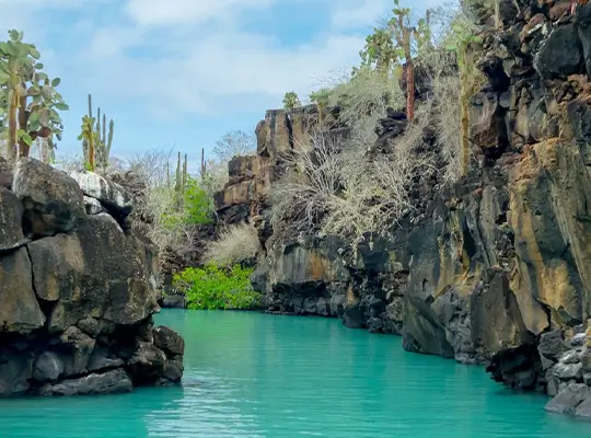 Las Grietas, Isla Santacruz