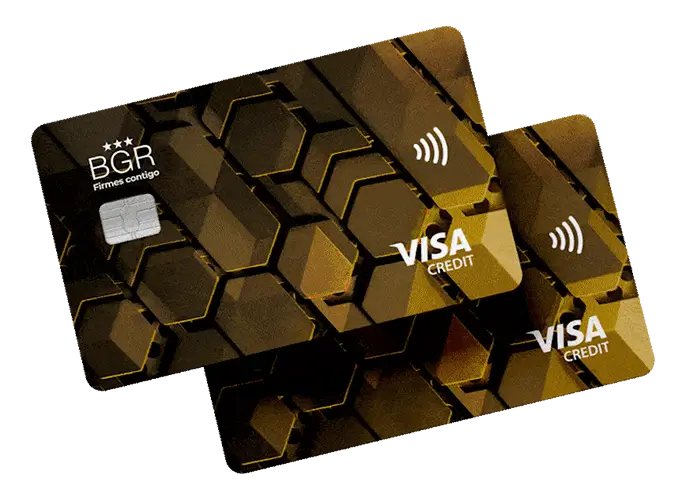 BGR Oportuna Visa