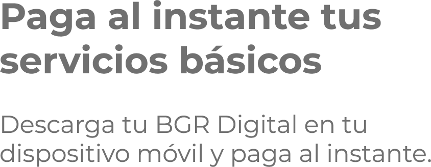 Paga al instante tus servicios básicos