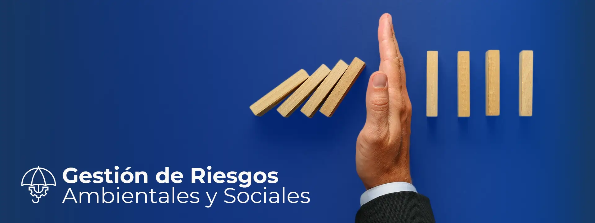 Gestión de Riesgos